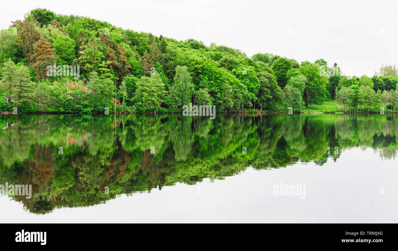 Fresh lussureggianti alberi e bosco riflessione speculare ancora in tranquille acque del lago Sävelången in Floda, Svezia Foto Stock