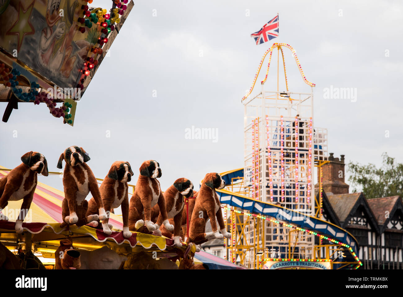 Cane galleggiante premi con Ride in background Foto Stock