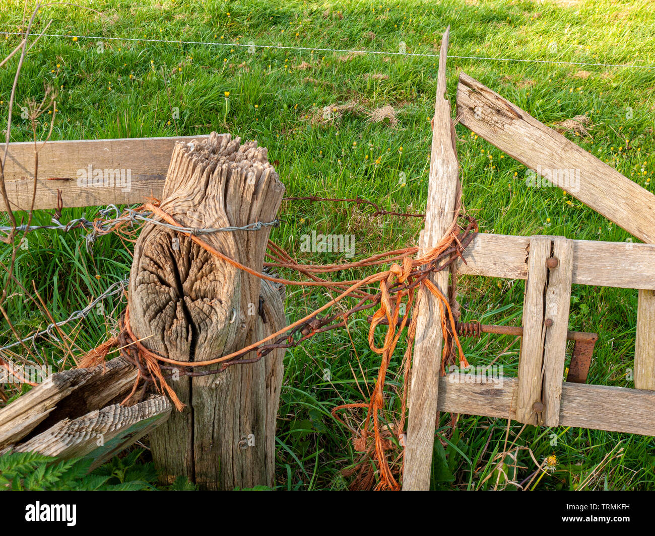 Dettaglio del vecchio cancello in legno medaglione con lo spago arancione e la catena Foto Stock