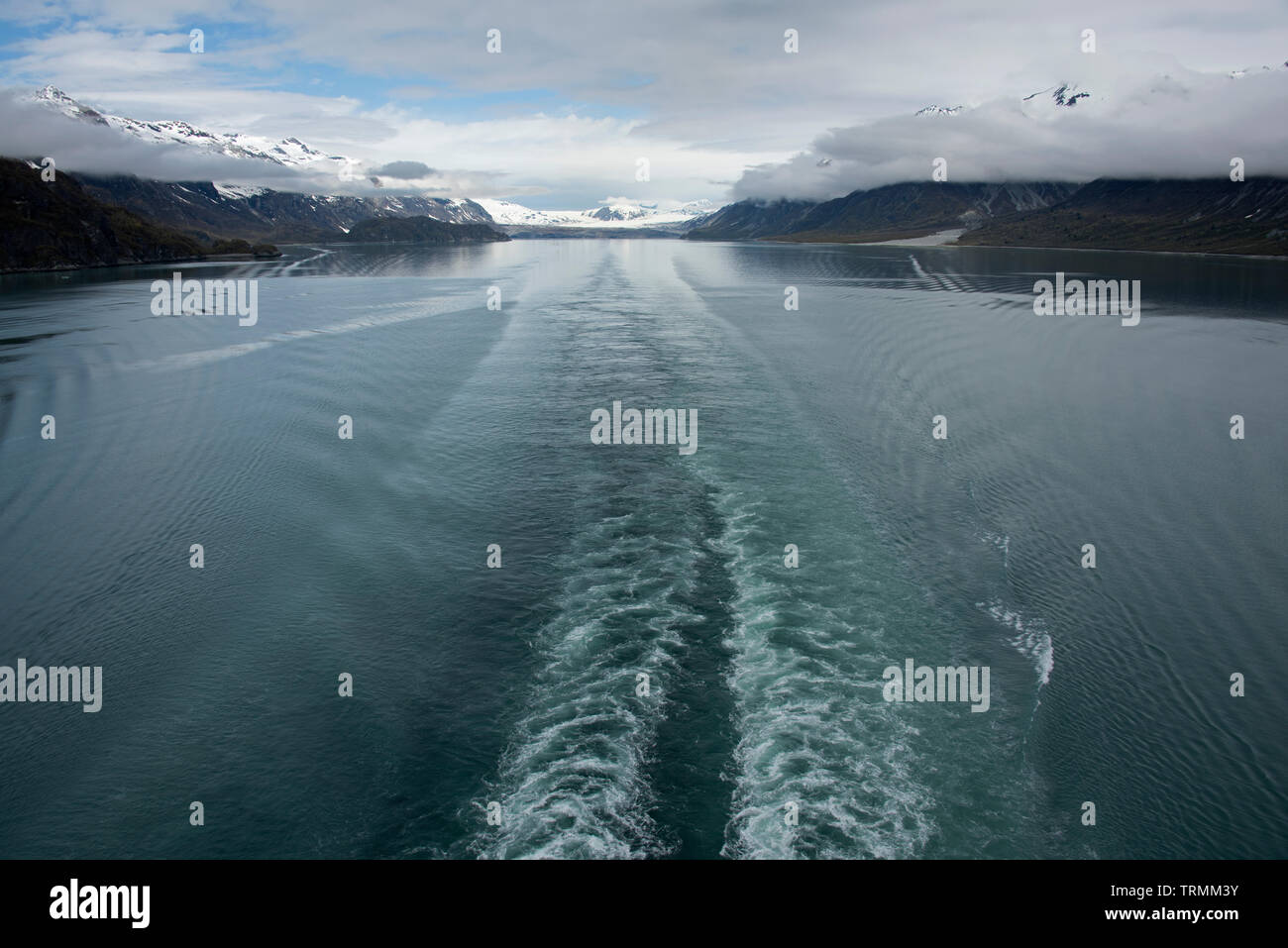 Grand Pacific Glacier, Parco Nazionale e Riserva di Glacier Bay, Gustavo, Alaska, STATI UNITI D'AMERICA Foto Stock