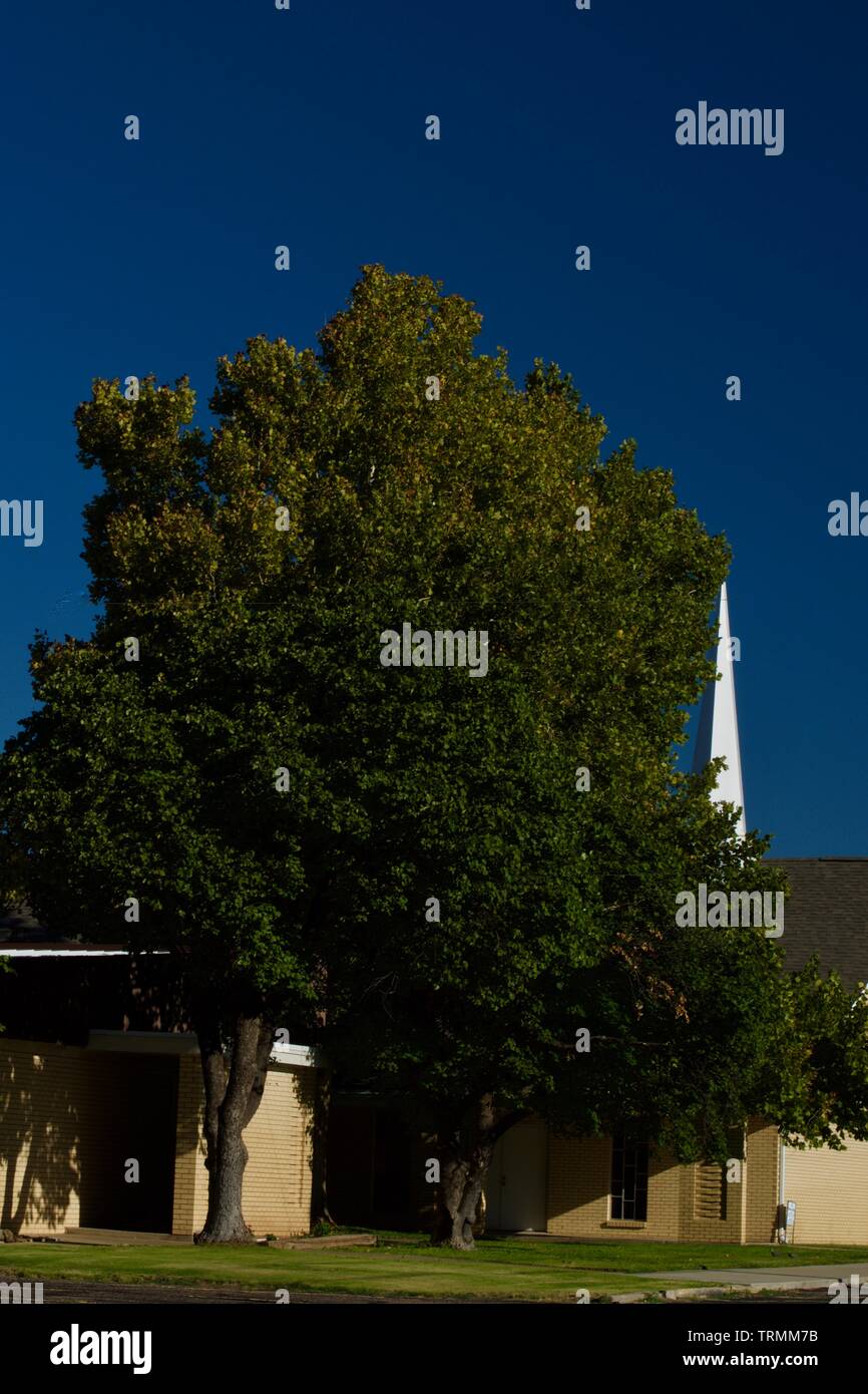 La chiesa il campanile e la molla alberi, Canyon, Texas. Foto Stock