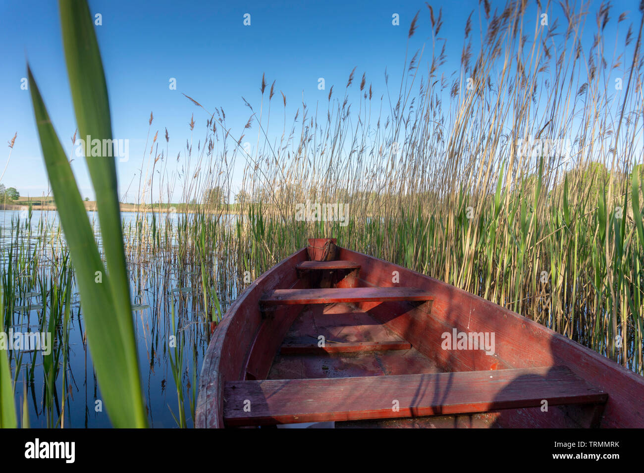 Rosso di legno canotto attraccata ad un molo rustico su un lago tra canneti e ninfee in un suggestivo paesaggio rurale Foto Stock