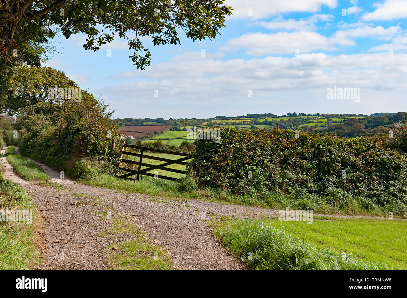 Rurale, paesaggio, Truro, Cornwall, Inghilterra. Foto Stock