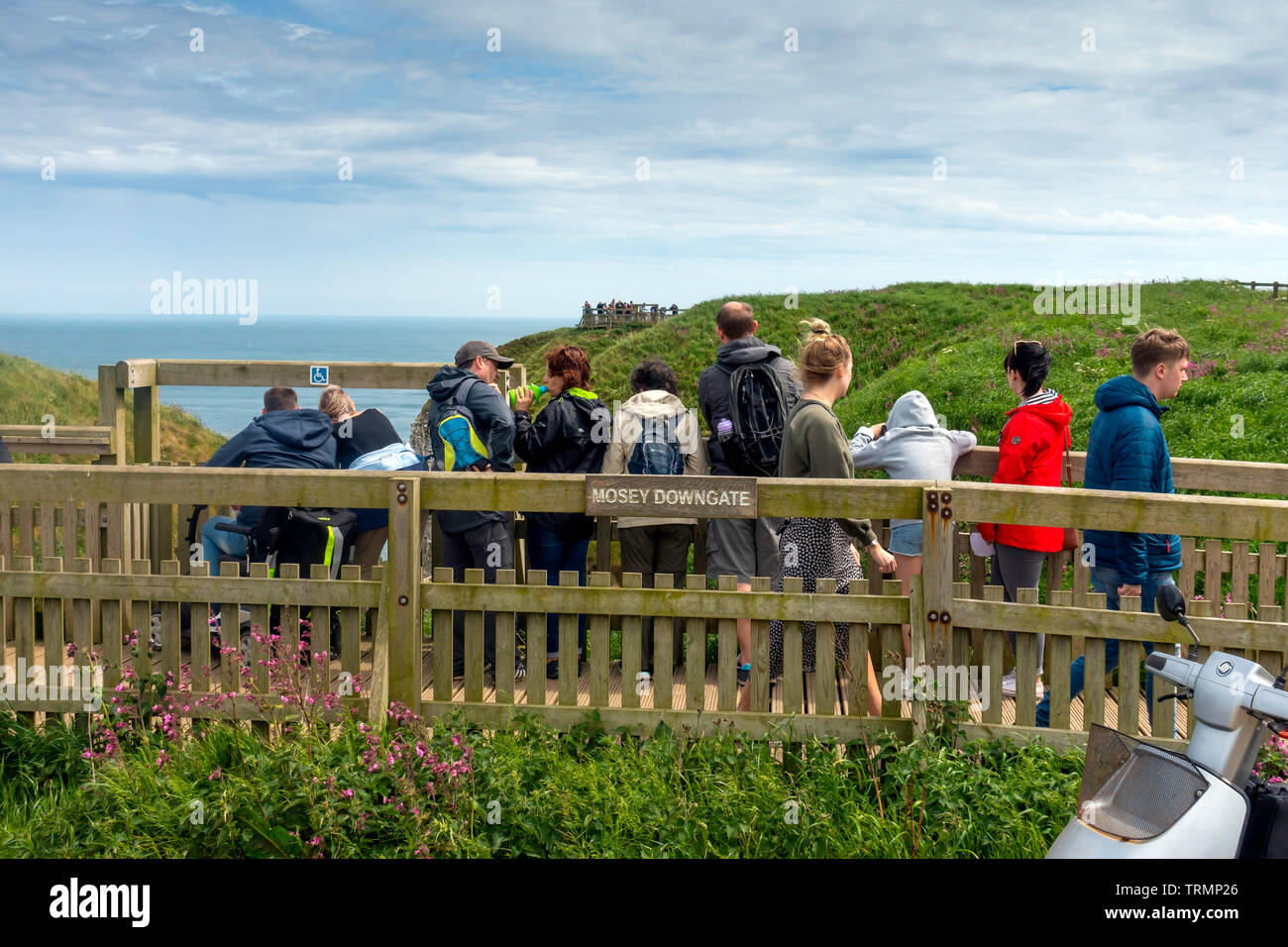 I visitatori di RSPB Bempton Cliffs Riserva Naturale la visione di uccelli di mare dal Mosey Downgate viewpoint Foto Stock
