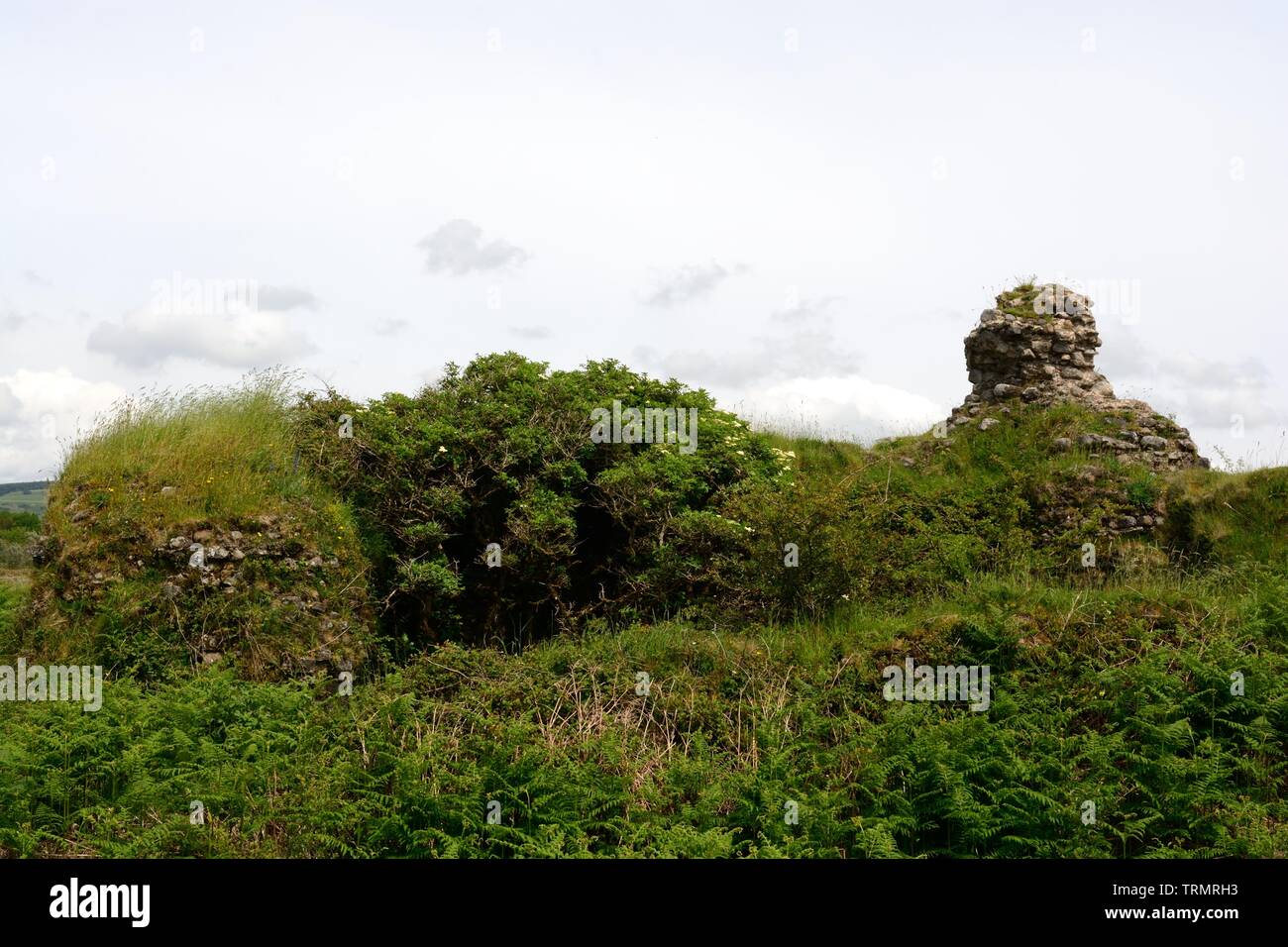 Le rovine resti del Castello Kenfig Castello Normanno stabilito da Robert Earl di Gloucester in ealry 12 secolo Bridgend Galles Cymru REGNO UNITO Foto Stock