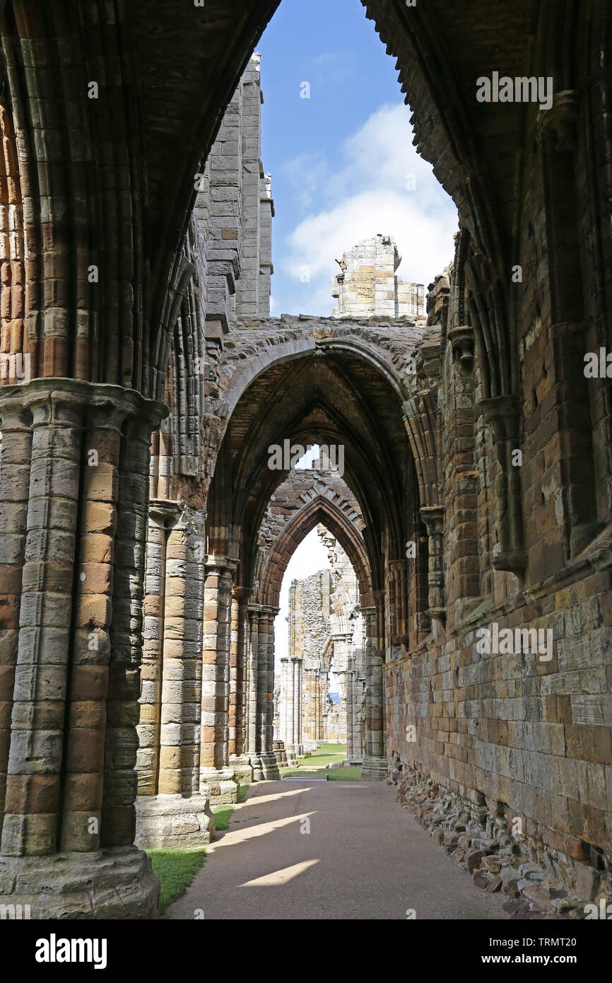 Corridoio del nord del presbiterio, Whitby Abbey, Borough di Scarborough, North Yorkshire, Inghilterra, Gran Bretagna, Regno Unito, Gran Bretagna, Europa Foto Stock