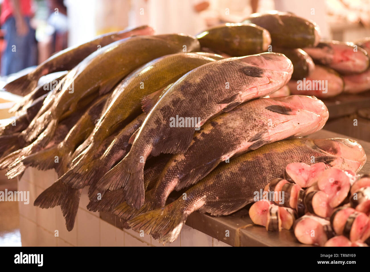 Mercato del Pesce, fiera del pesce, Barão de São Domingos collasso, Amazônia, Manaus, Amazonas, Brasile Foto Stock