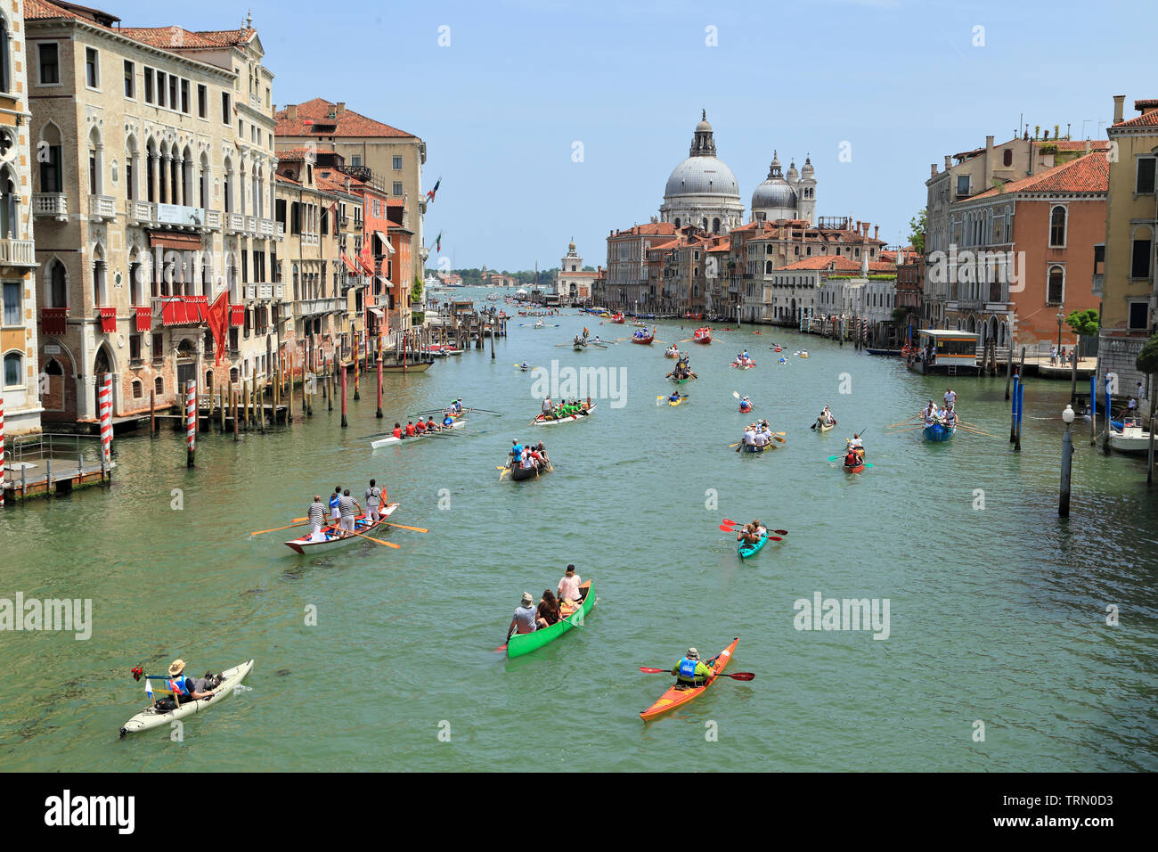 Vogalonga regata 2019 a Venezia Foto Stock