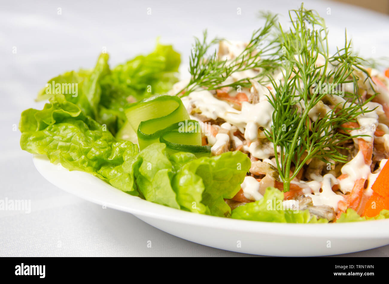 Insalata di bollito di manzo, champignon, carote cetrioli sottaceto, cipolla e lattuga condita con la maionese. Foto Stock