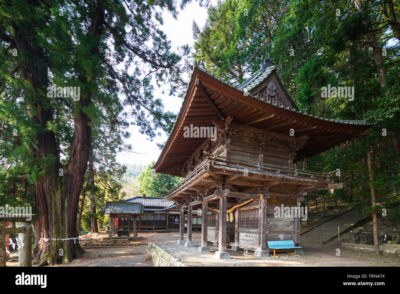 Asia, Giappone, Honshu, Prefettura di Nagano, santuario Hachimangu Foto Stock