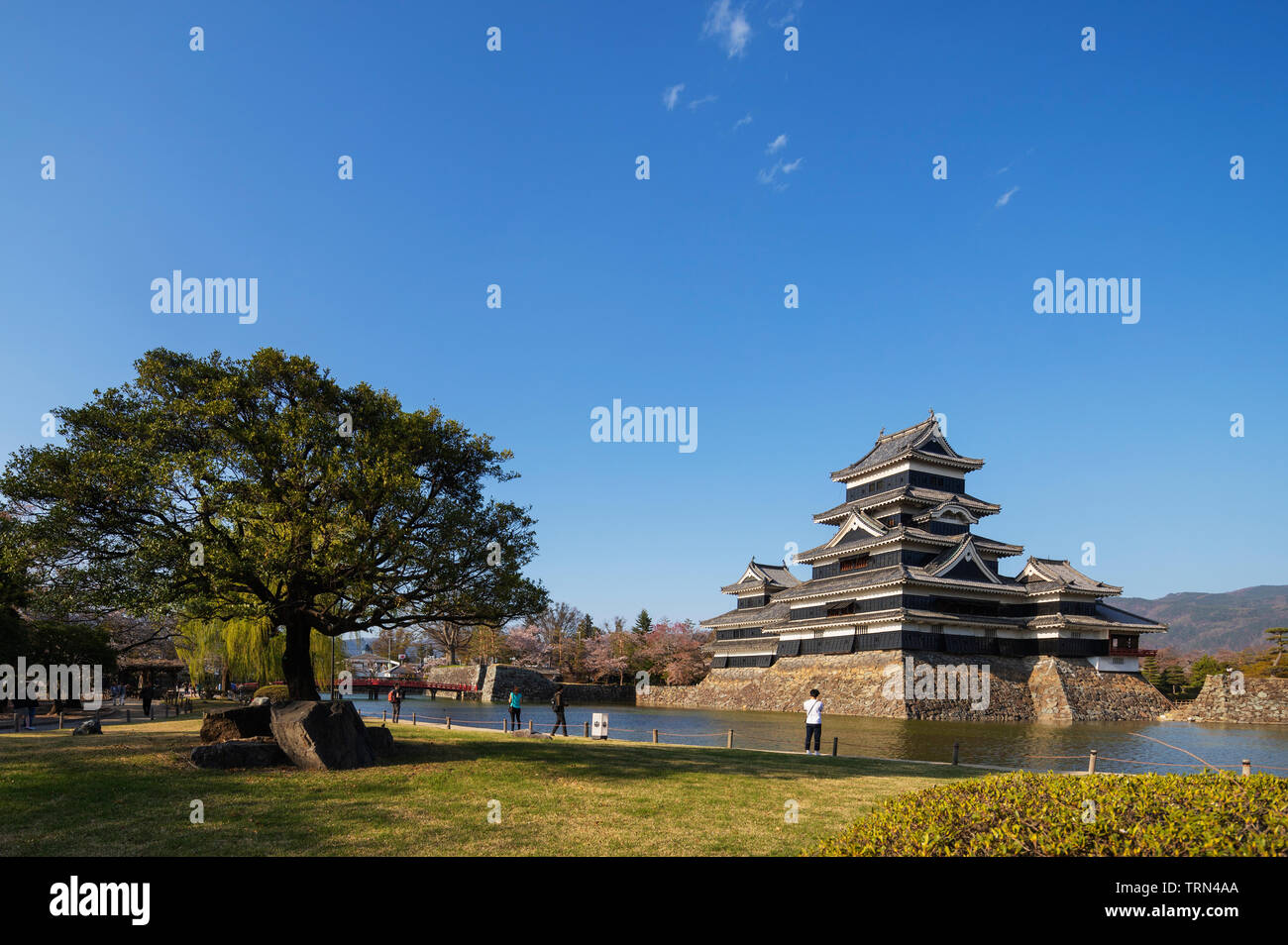 Asia, Giappone, Honshu, Prefettura di Nagano, Castello Matsumoto Foto Stock