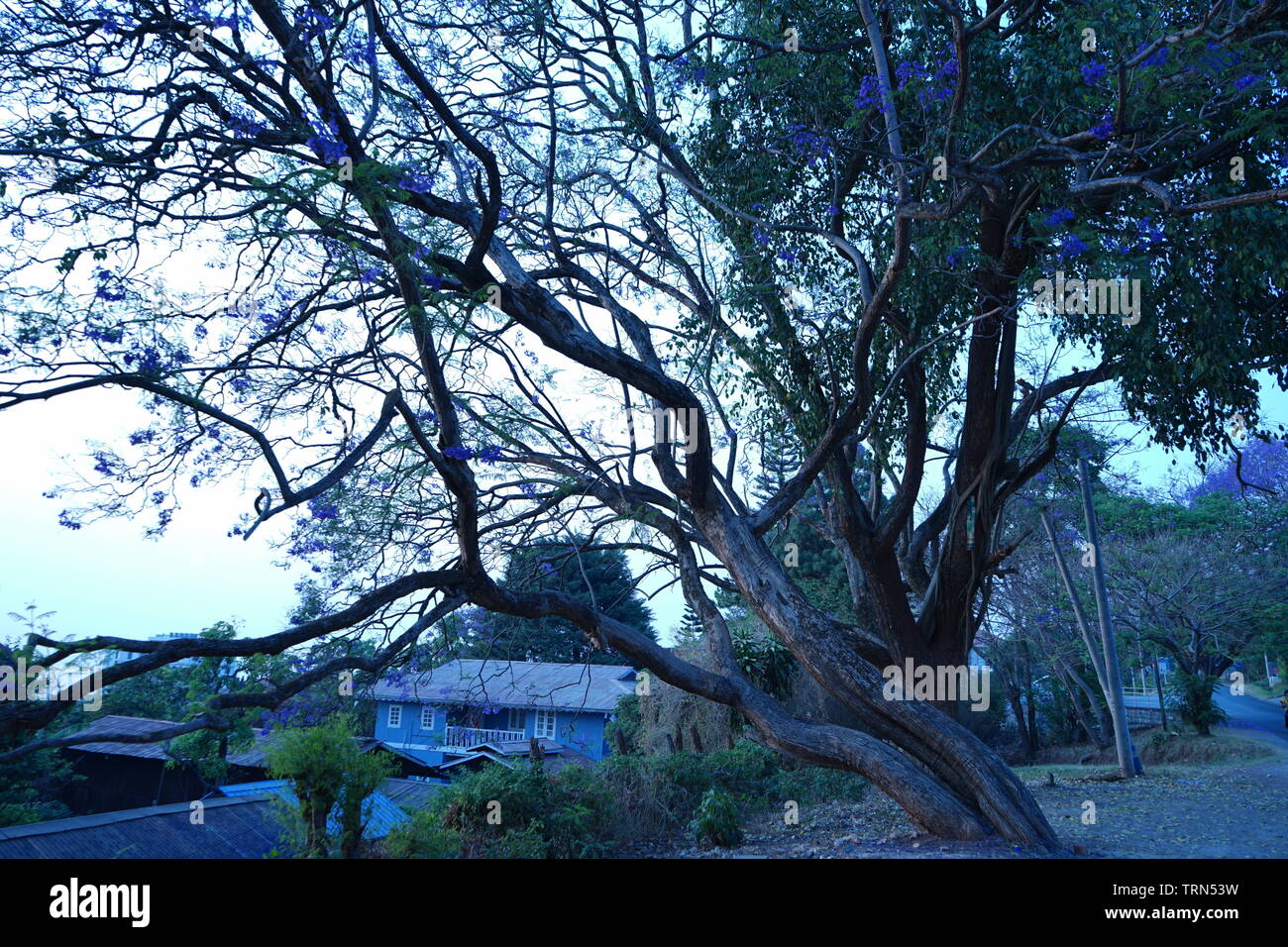 Queste foto sono state scattate in Myanmar. I luoghi reali sono lì e non vi è alcun contatto sulle foto Foto Stock