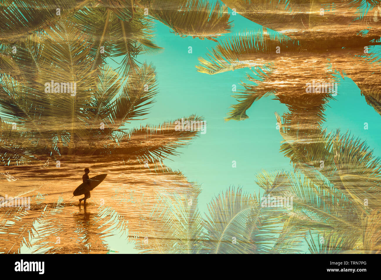Silhouette di un surfer al tramonto, doppia esposizione fotografia con palme Foto Stock