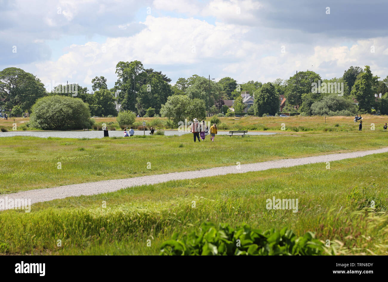 Wimbledon Common, a sud-ovest di Londra, Regno Unito, d'estate. La gente camminare e seduta sul aprire spazio erboso intorno al laghetto Rushmere vicino a Wimbledon Village. Foto Stock