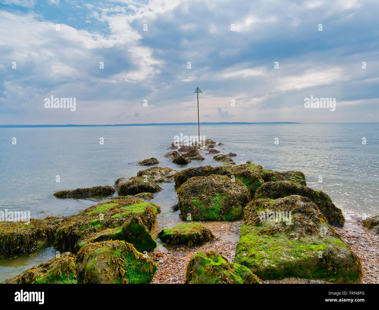 Una linea di alghe rocce coperte portano fuori nell'estuario su Lee on Solent beach. Foto Stock