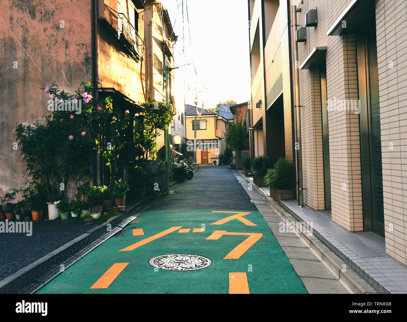 Tokyo, Giappone - 23 Novembre 2018: tranquilla e vuoto strada laterale nel quartiere di Ueno al tramonto Foto Stock