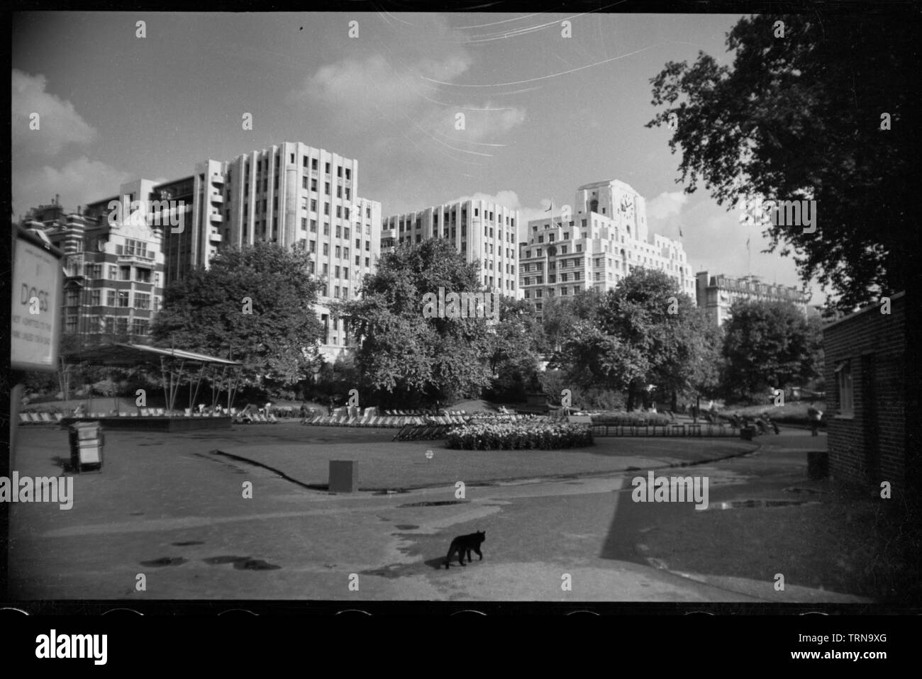 La Adelphi, John Adam Street, Westminster, London, C1955-c1980. Creatore: Ursula Clark. Foto Stock