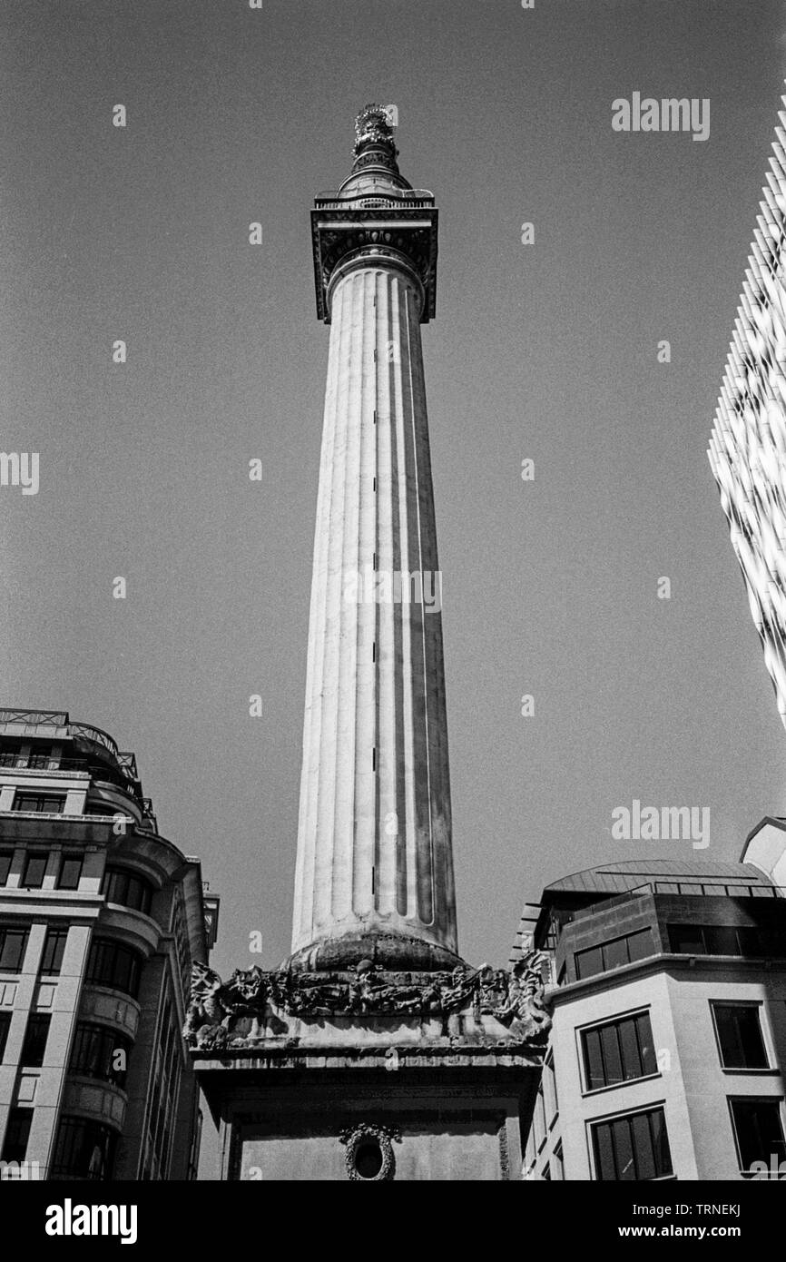 Monumento o un monumento al Grande Incendio di Londra tra il pesce Street Hill e Monumento Street, Londra, Inghilterra, Regno Unito. Foto Stock