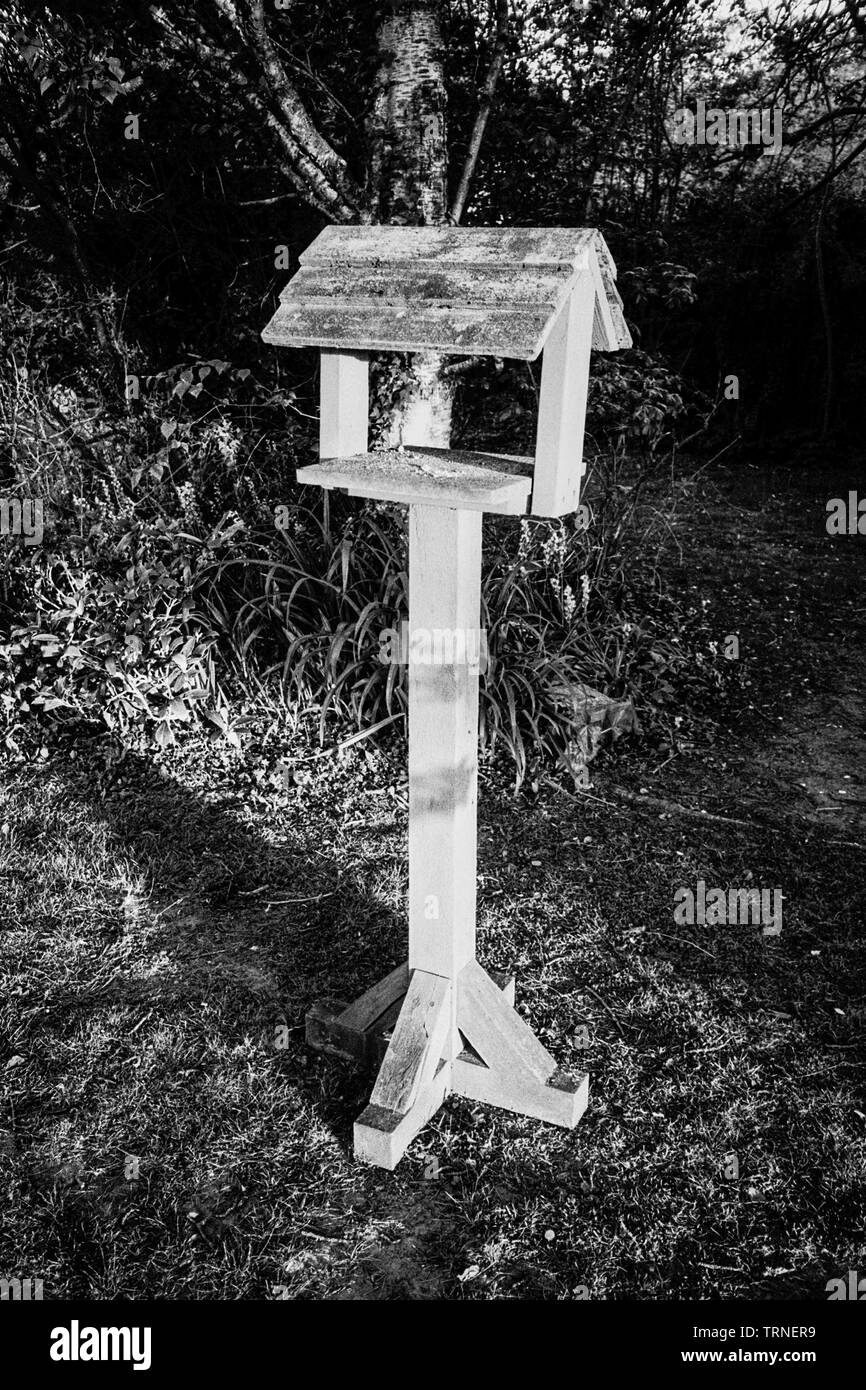 Bird Table, Medstead, Alton, Hampshire, Regno Unito. Foto Stock