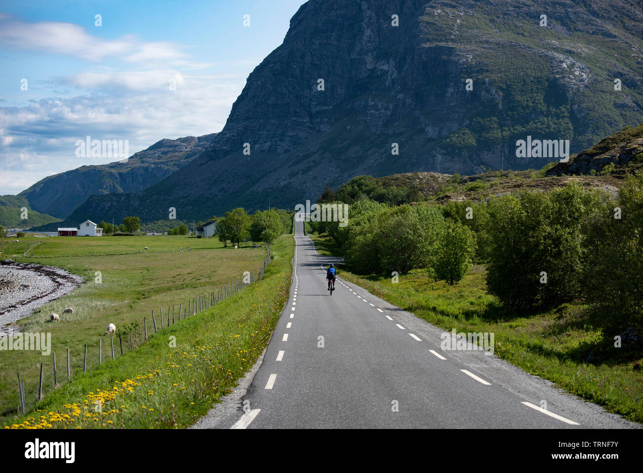 Esplorare la Norvegia in mountain bike in estate 2019 Foto Stock