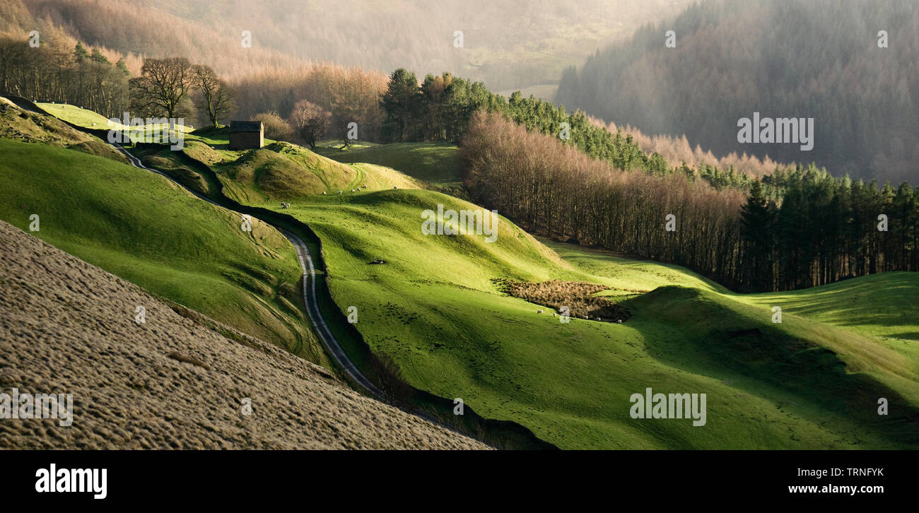 Bell Hagg Granaio, Alport Dale, Derbyshire, Inghilterra (1) Foto Stock