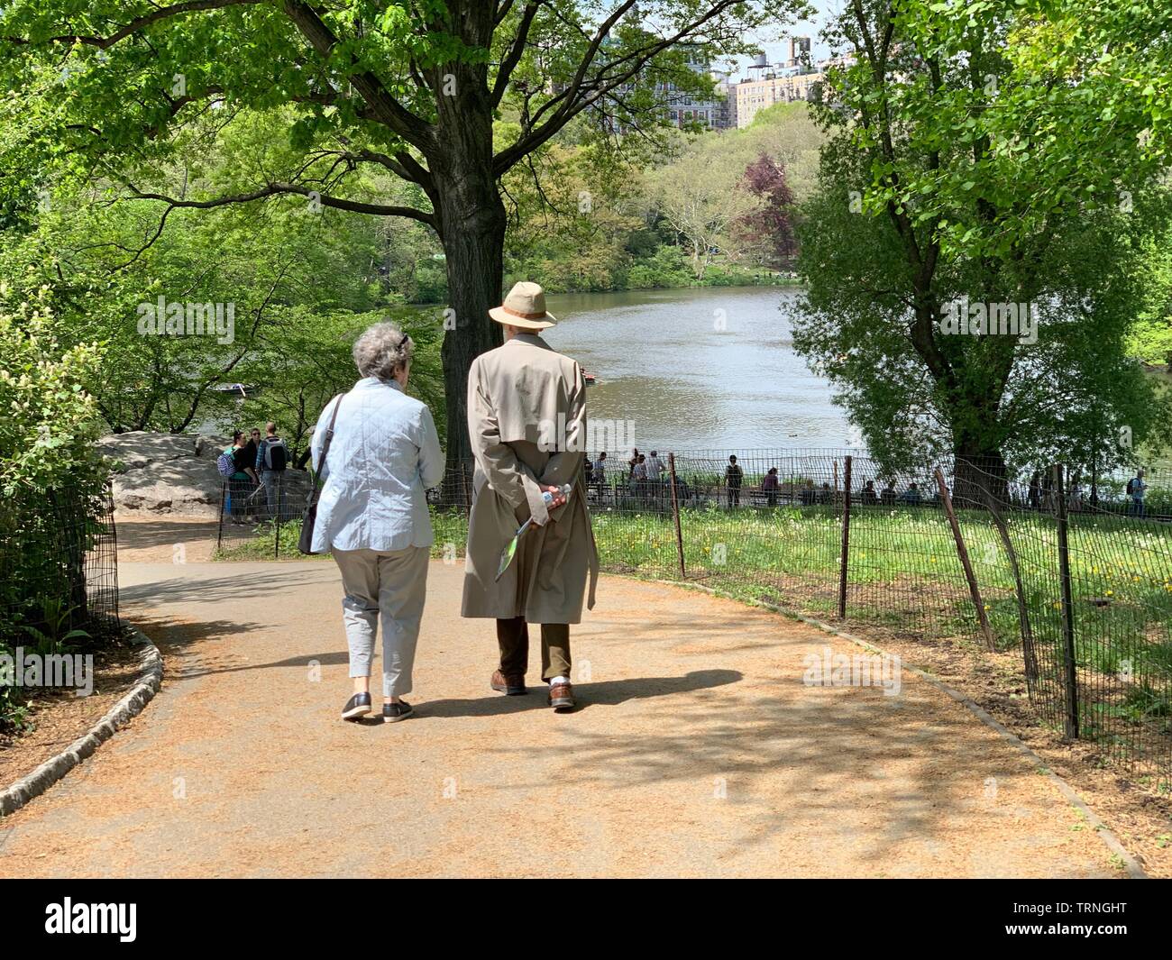Central park park view in new york Foto Stock