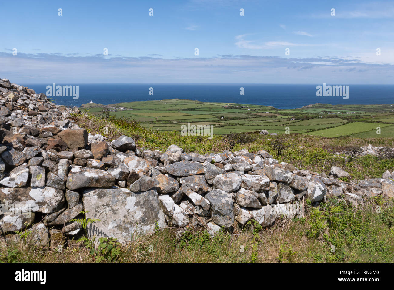 Strumble Head paesaggi costieri e robusto paesaggio roccioso durante l estate in Pembrokeshire, Wales, Regno Unito Foto Stock