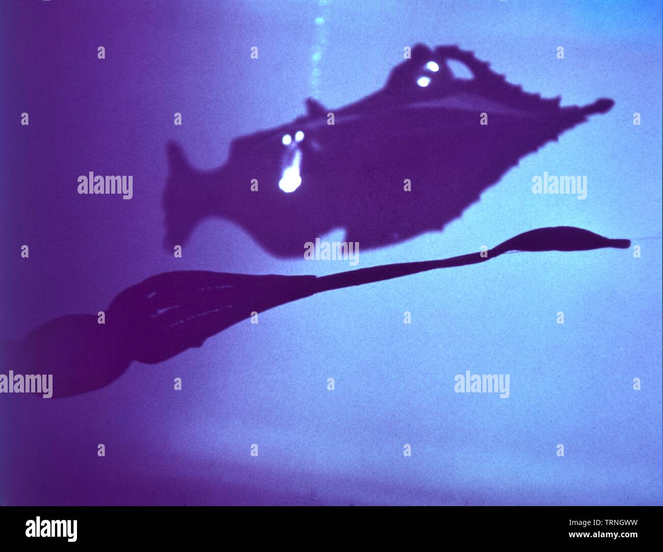 20.000 leghe sotto i mari 1954 Director Richard Fleischer romanzo di Jules Verne Walt Disney Productions / Buena Vista Film Distribution Company Foto Stock