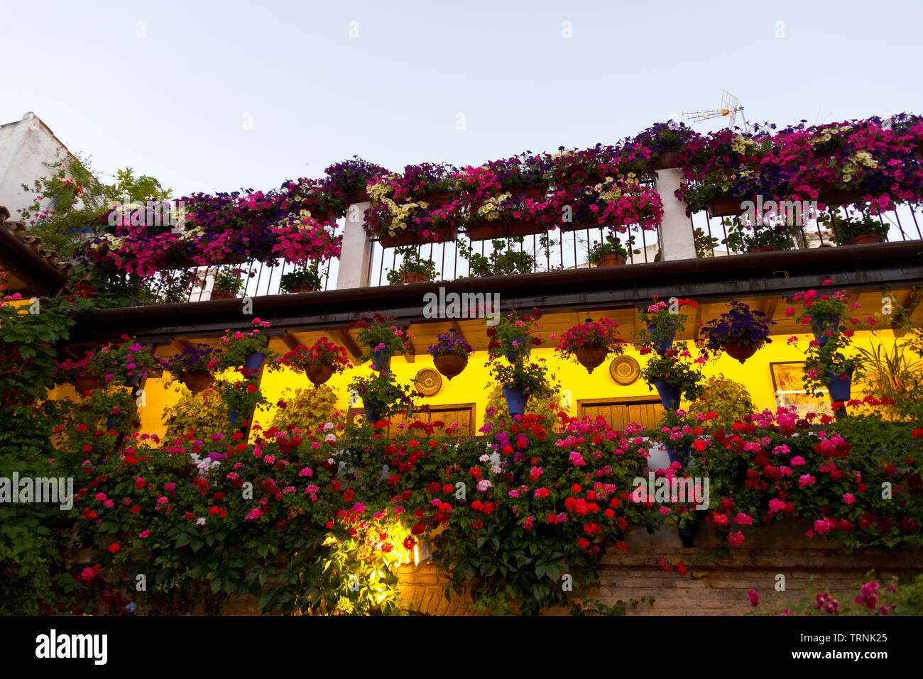 Fiori tradizionali di patio decorato a cordoba, Spagna, duriing Festival de Los Patios Cordobeses Foto Stock