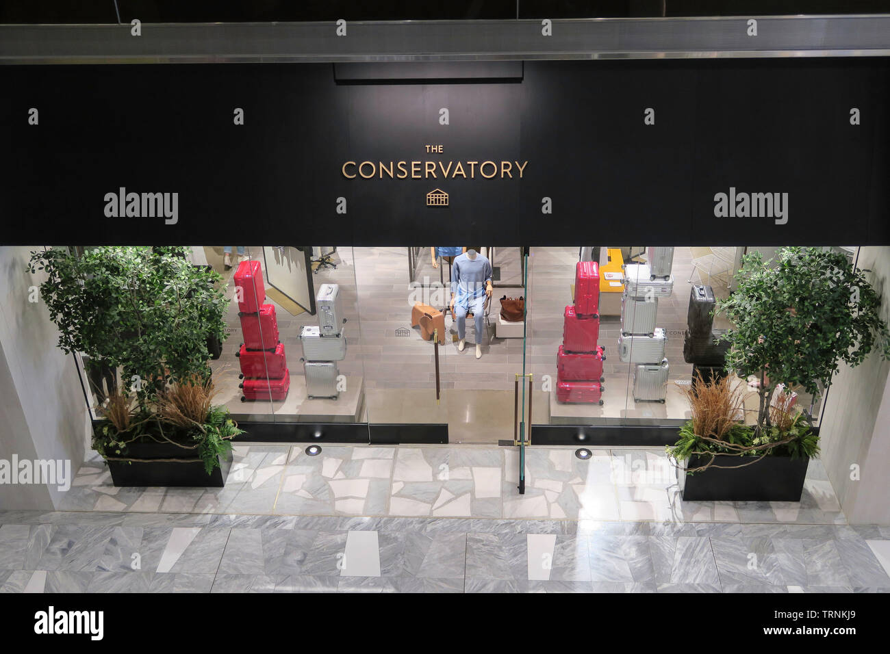 Il conservatorio è un elegante boutique store in Hudson Yards complesso per lo shopping, NYC, STATI UNITI D'AMERICA Foto Stock