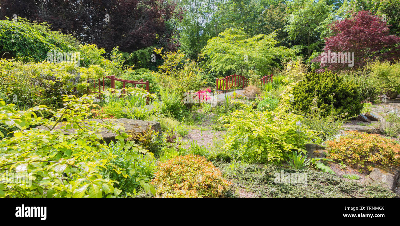 Cinese paesaggistico giardino di roccia, lo zoo di Chester Cheshire England Regno Unito. Maggio 2019 Foto Stock
