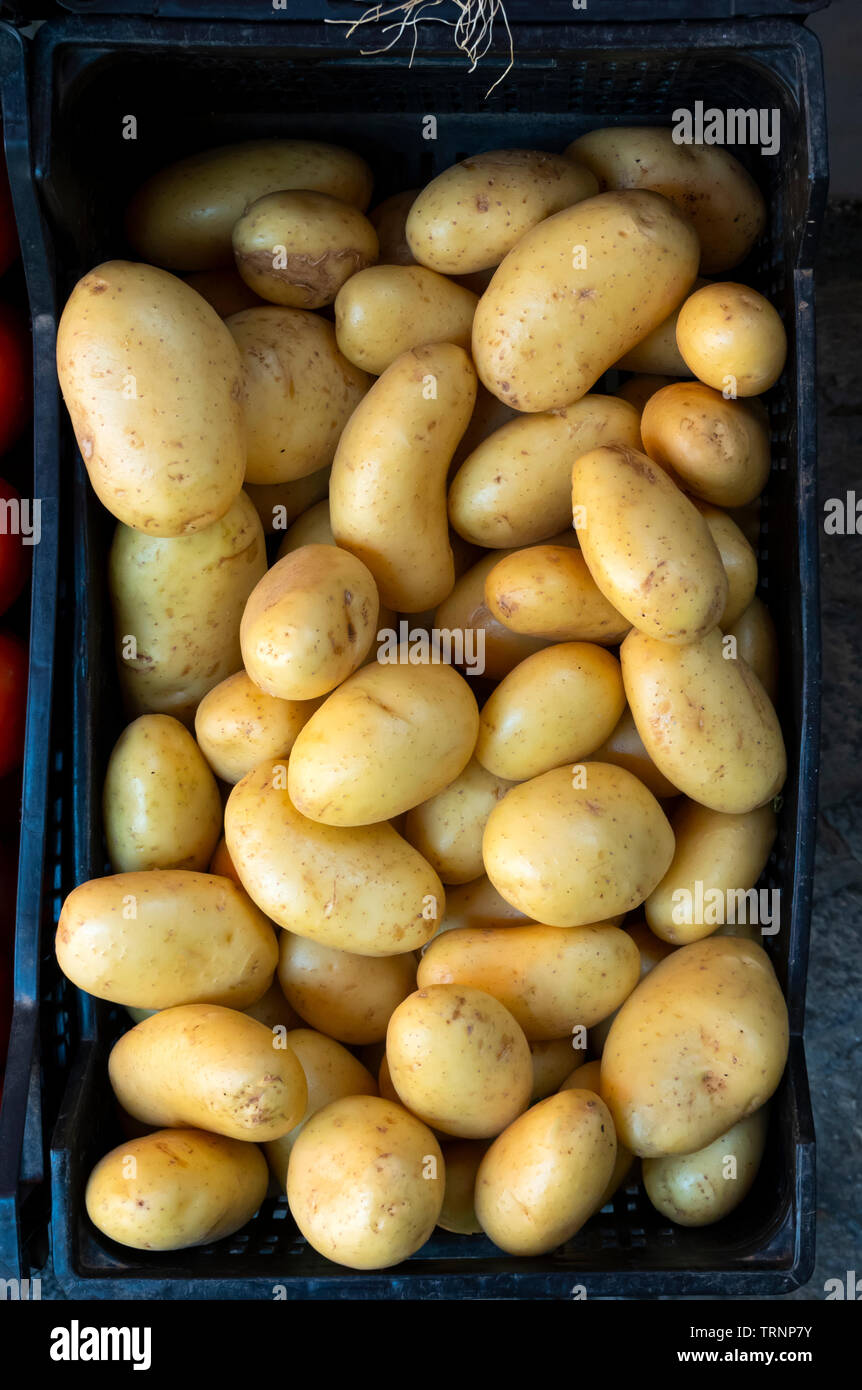 Patate bianche in un mercato in Irlanda Foto Stock