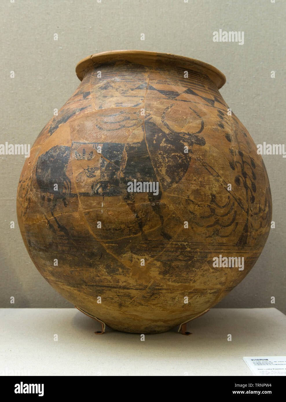 La terracotta dipinta Jar. 2600 BC - 1800 BC. Nausharo, Balochistan, Pakistan. Dipartimento di Archeologia e musei. Foto Stock