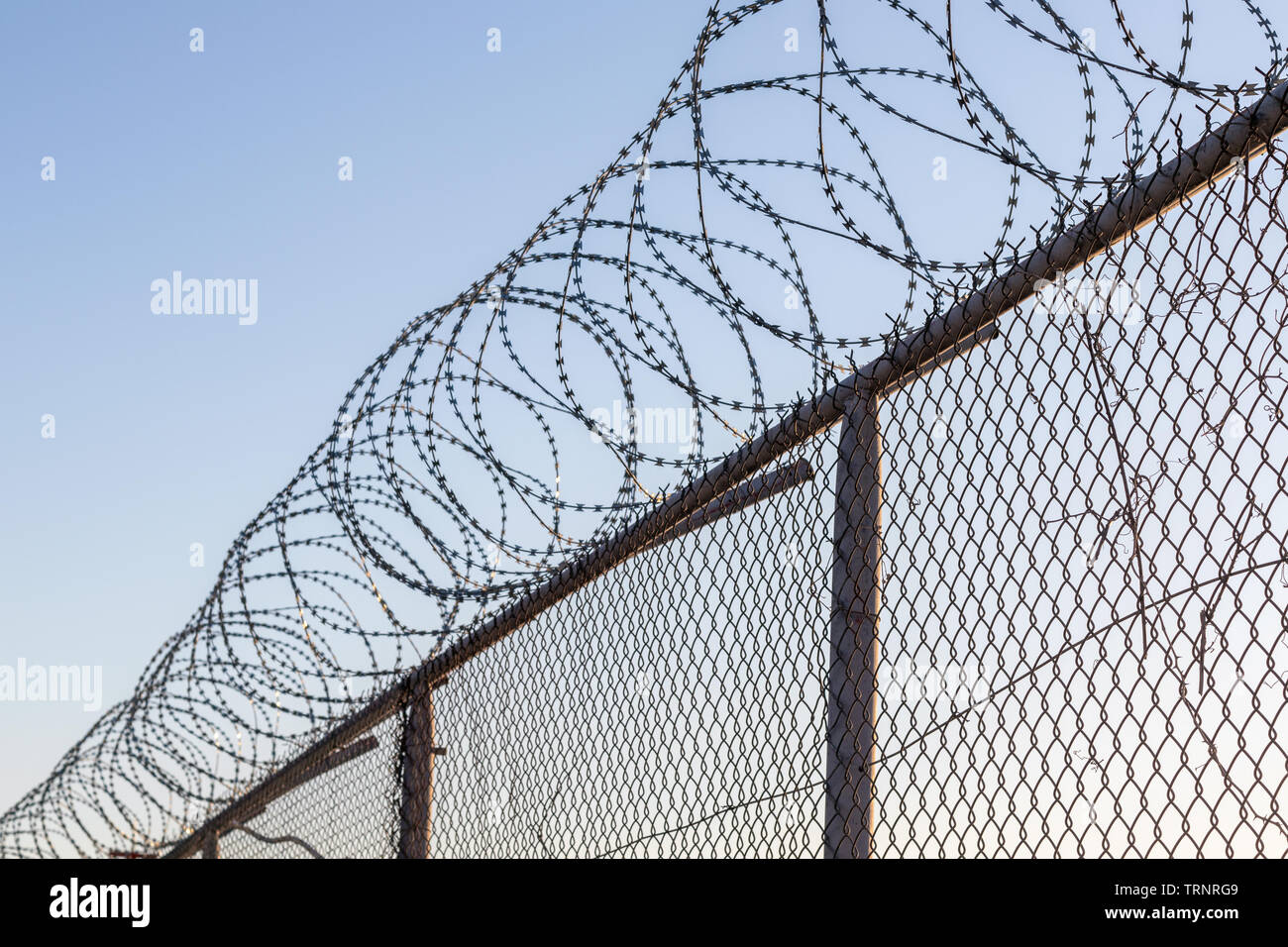 Bobine di filo spinato sulla parte superiore di una maglia a filo recinzione, contro un cielo blu Foto Stock