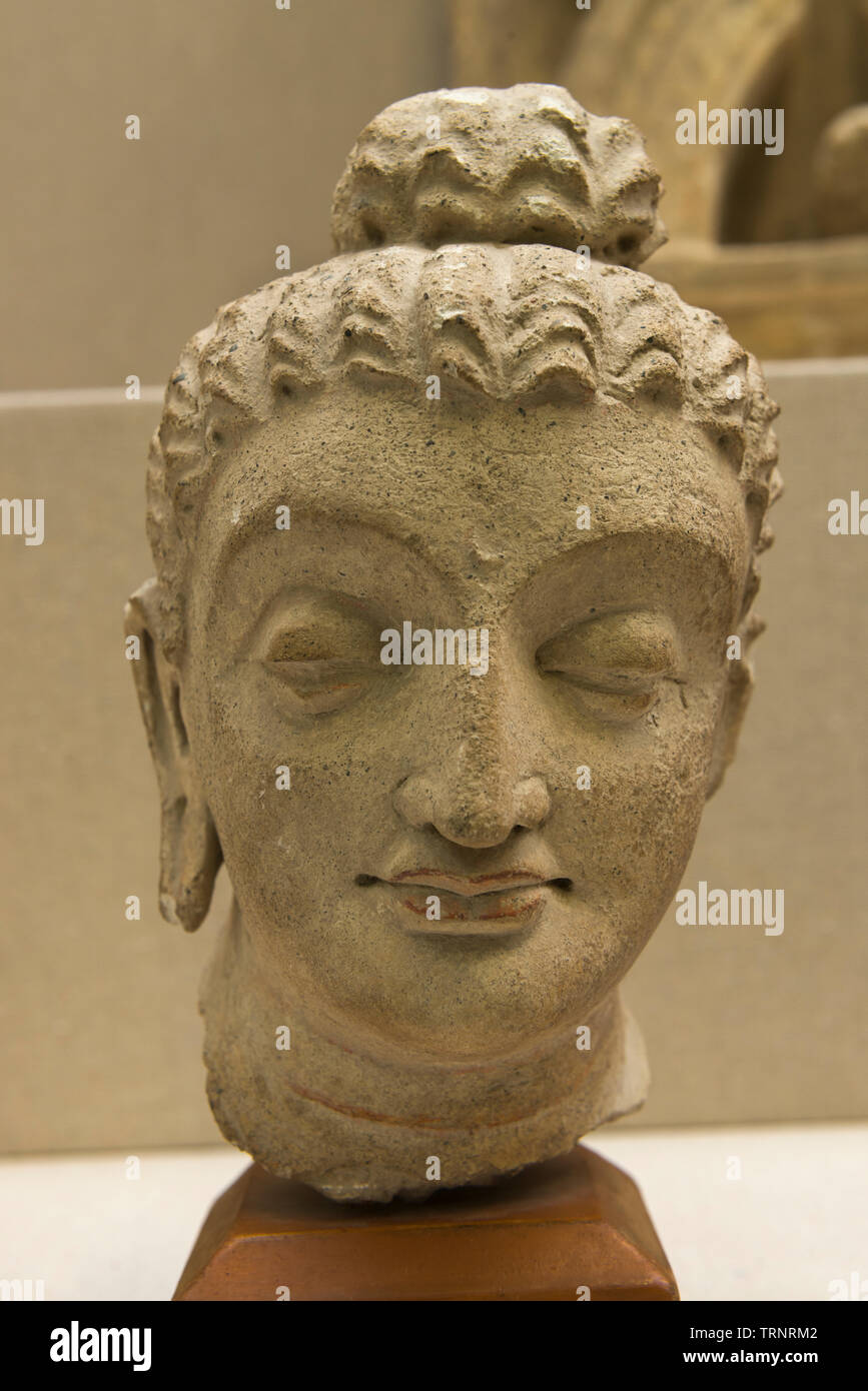 Testa di Buddha(Stucco). 3a-4a secolo. Taxila, Pakistan. Dipartimento di Archeologia e musei Foto Stock