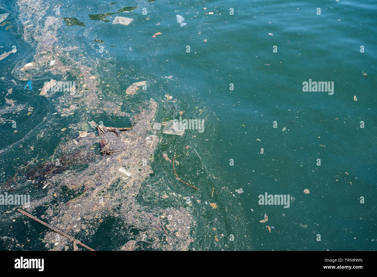 Olio e garbage inquinamento dell'acqua. Messa a fuoco selettiva con profondità di campo ridotta. Foto Stock