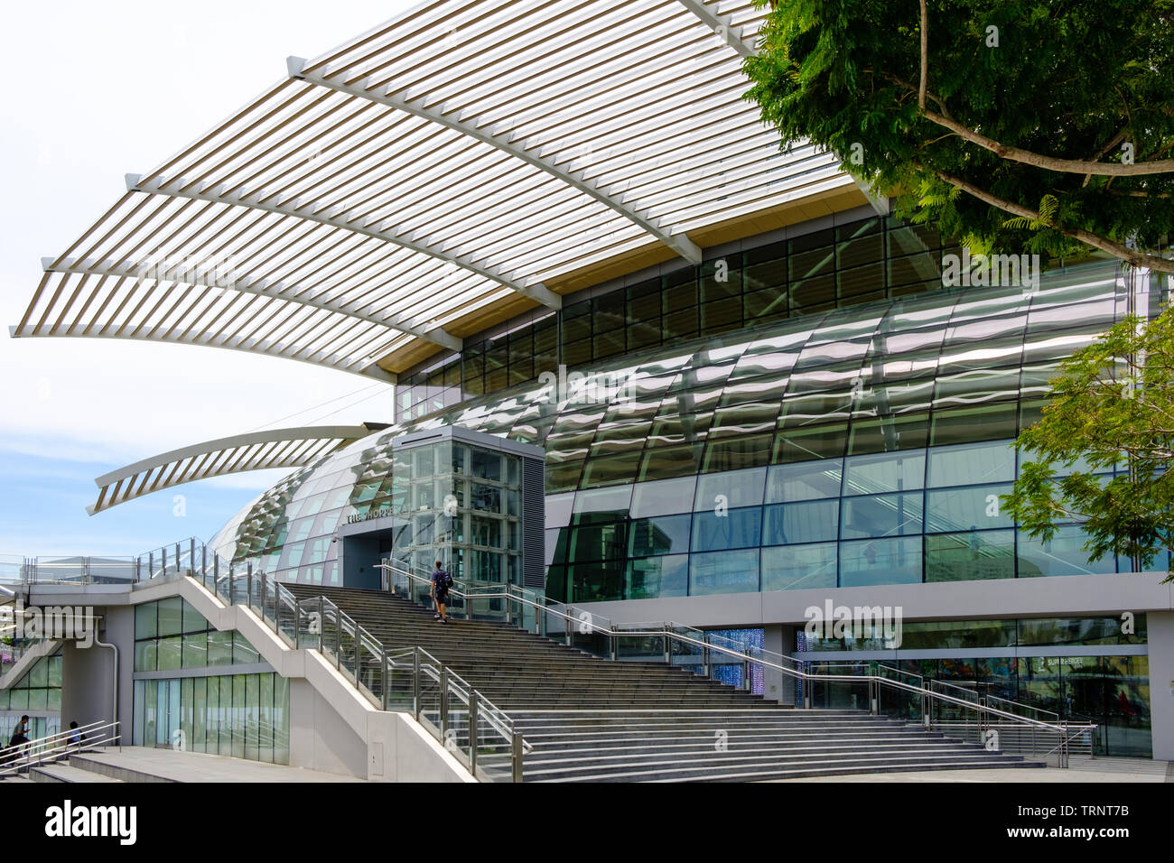 Singapore-13 APR 2019:Singapore marina bay sands shopping mall facciata di vetro Foto Stock