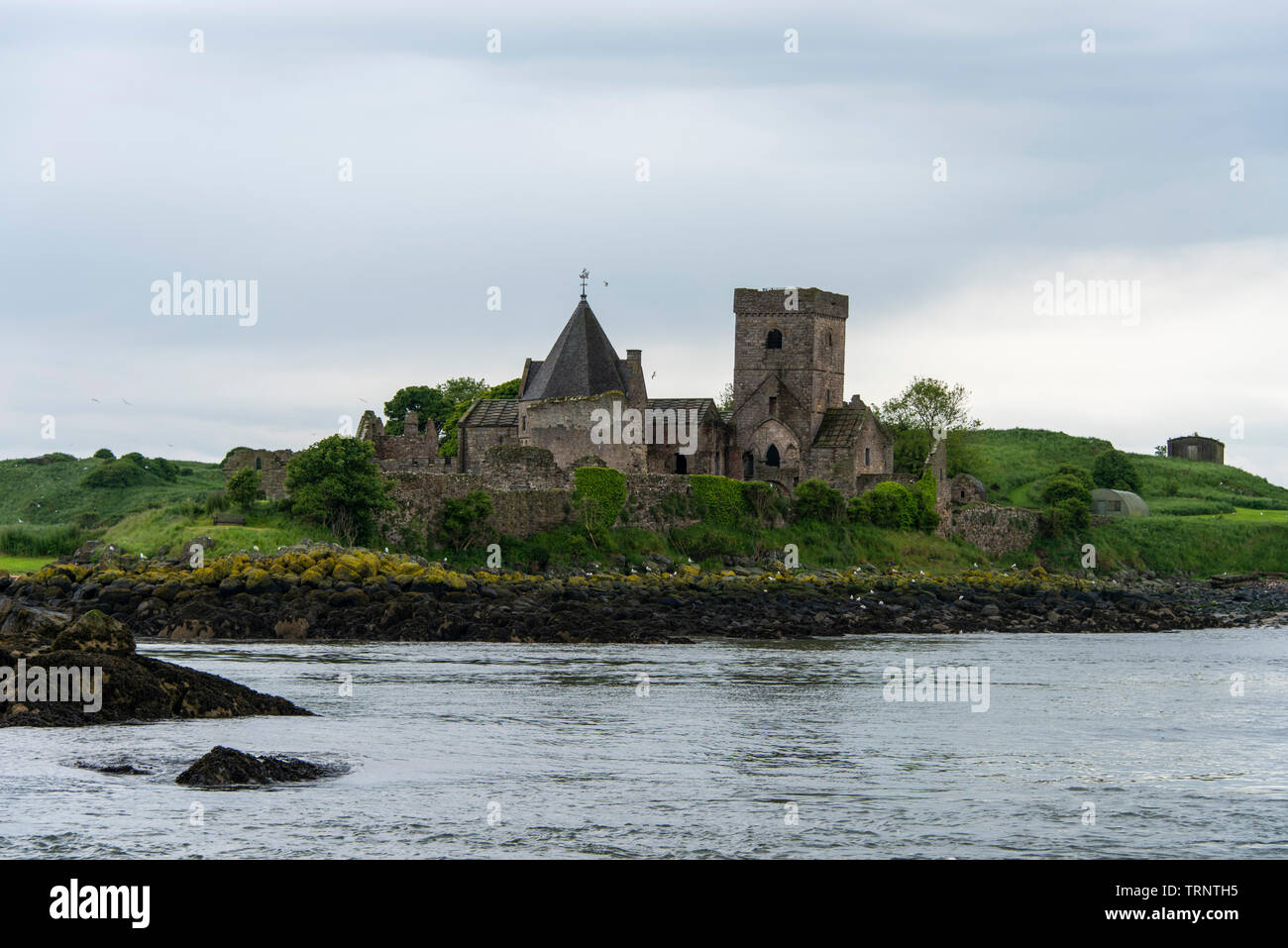 Sabato 8 Giugno 2019: Inchcolm Isola del Firth of Forth, Scozia. Foto Stock