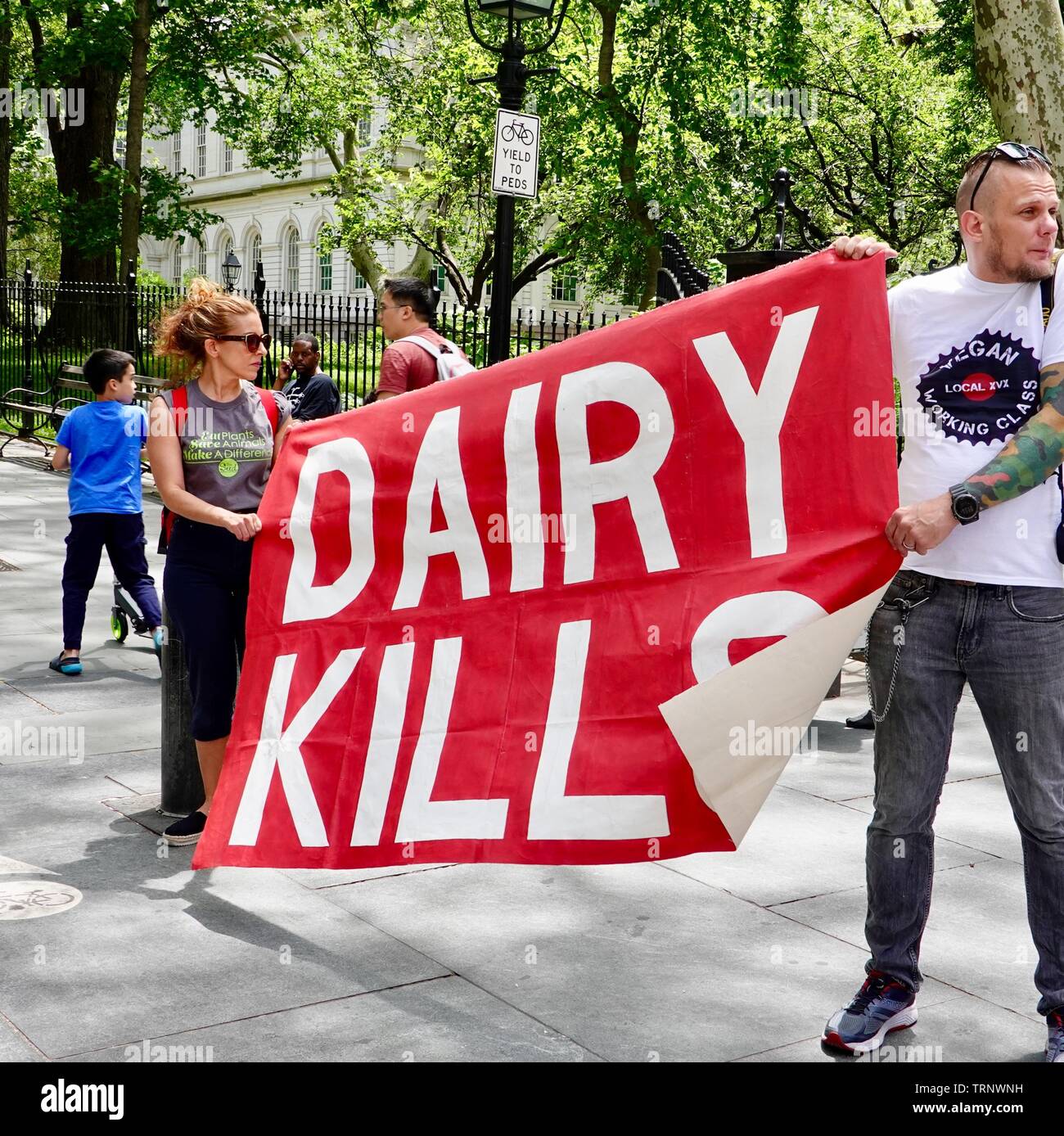 I manifestanti con latteria uccide il segno, vegan protestare su New York street outside city hall di New York, NY, STATI UNITI D'AMERICA Foto Stock