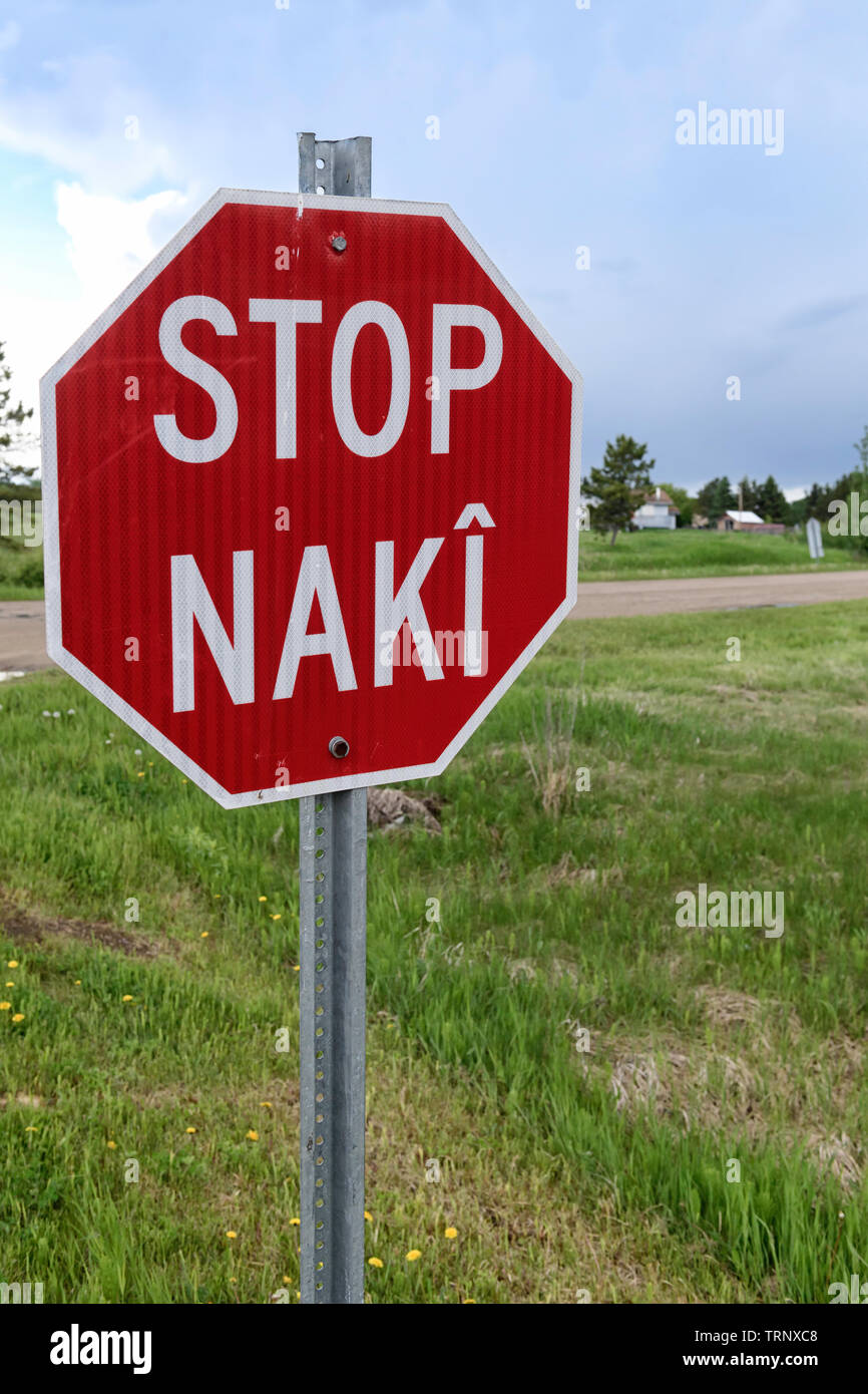 Il segnale di arresto scritto in due lingue, Cree e in inglese. Nella comunità di Maskwacis nel centro di Alberta in Canada Foto Stock