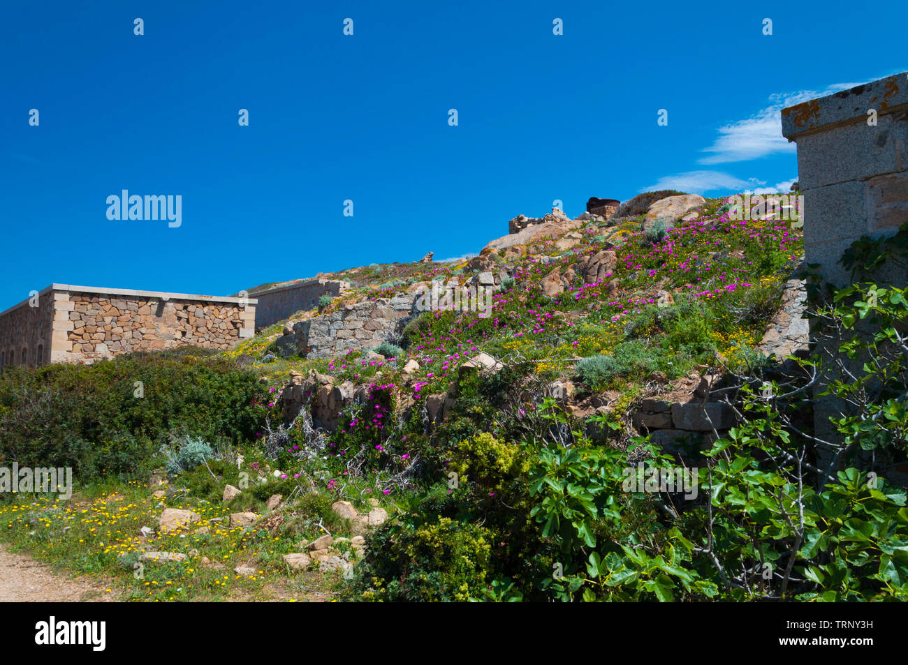 Fortezza Bastiani fortificazione Isola di Caprera Sardegna Italia Foto Stock