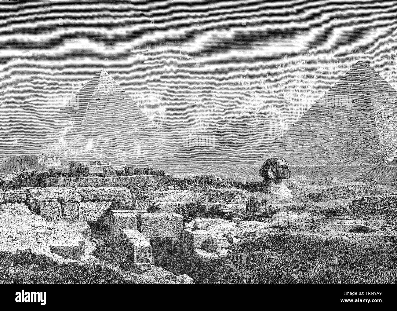 La Grande Sfinge di Giza, letteralmente la terrificante uno tra piramidi egiziane è una statua di pietra calcarea di una sfinge reclinabili, una mitica creatura con il corpo di un leone e la testa di un essere umano.affacciata direttamente da ovest a est, che sorge su un altopiano di Giza sulla sponda ovest del Nilo in Giza, Egitto. La Sfinge è la più antica conosciuta scultura monumentale in Egitto e comunemente si crede che sia stato costruito dagli antichi egizi del Vecchio Regno durante il regno del faraone Khafre. Foto Stock