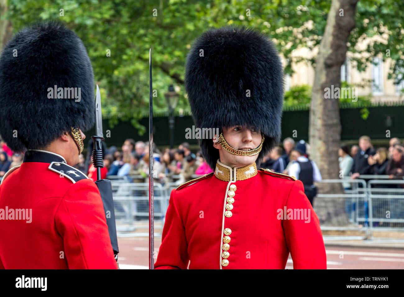 Un ufficiale delle Guardie gallesi con un Guardsman in piedi sul servizio di rivestimento della strada lungo il Mall al Trooping The Color Parade, Londra, Regno Unito, 2019 Foto Stock