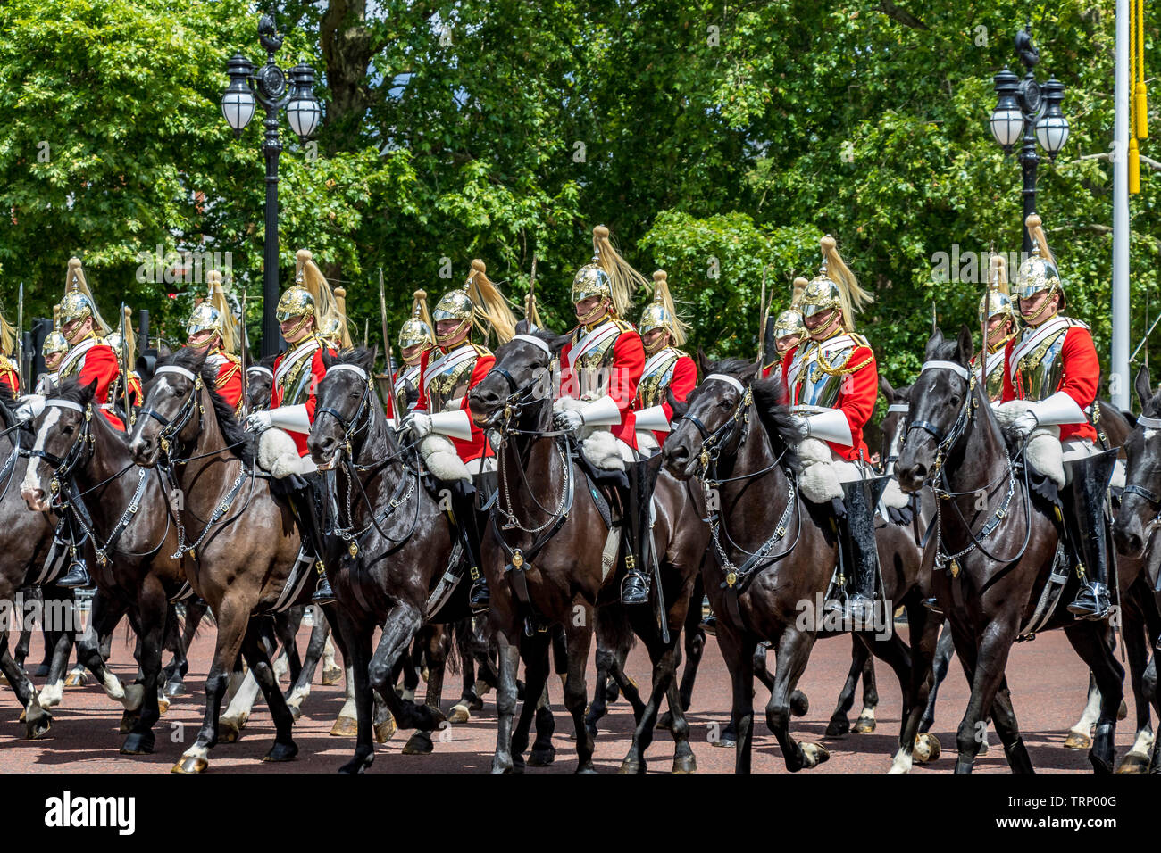 Life Guards of the Household Cavallry Mounted Regiment a cavallo sul Mall al Trooping The Color Winnercient, Londra, Regno Unito Foto Stock