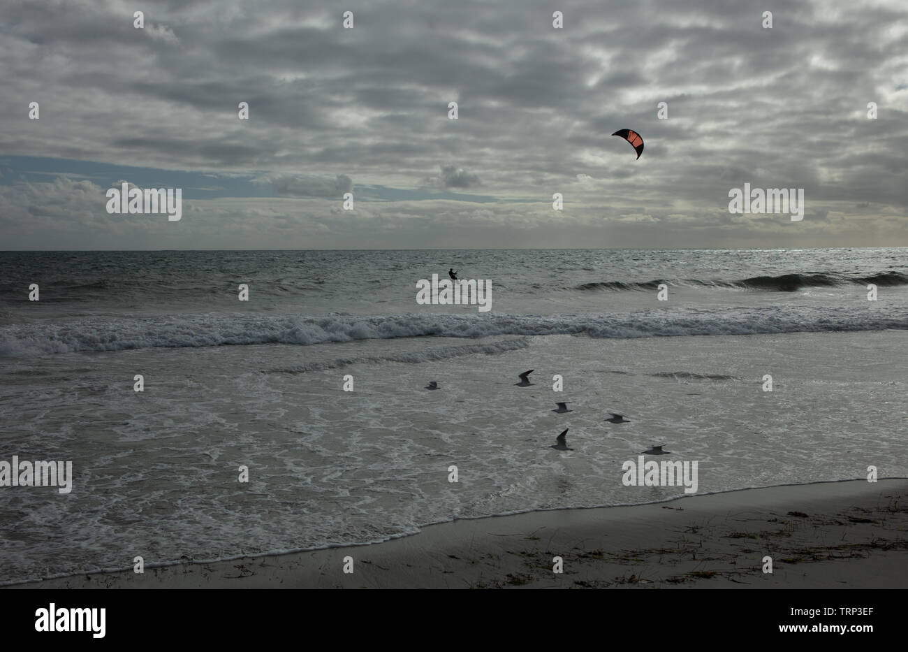 Kite-surf surf a vuoto della costa di Mullaloo beach,Western Australia il raggiungimento di elevate velocità in condizioni meteorologiche ventose su un pomeriggio nei giorni feriali. Foto Stock