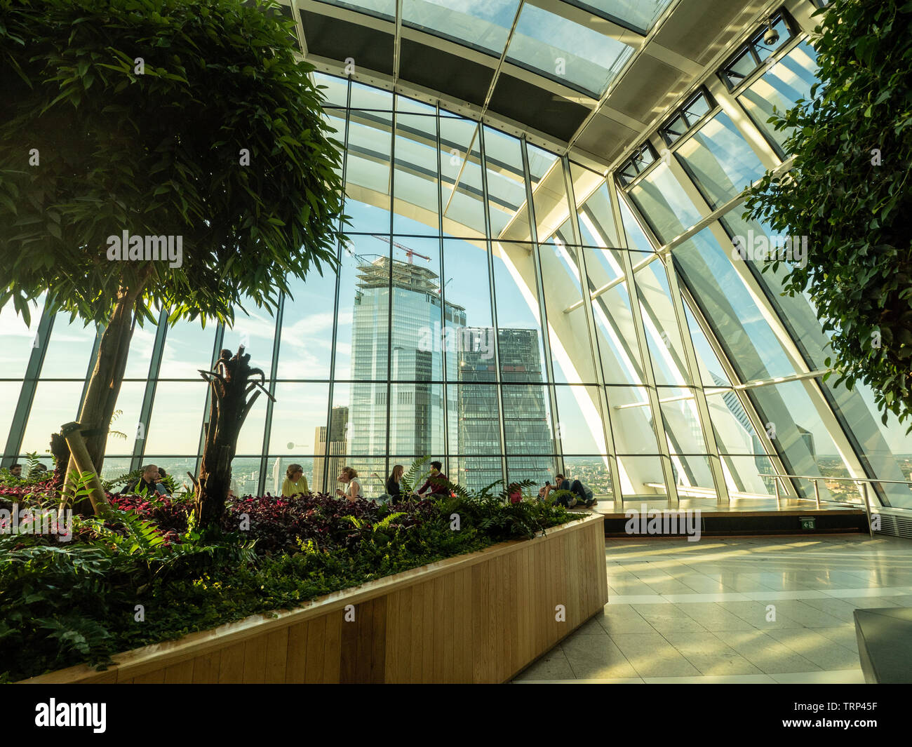 Sky Garden Interior, Walkie Talkie Grattacielo, Londra, Inghilterra. Foto Stock