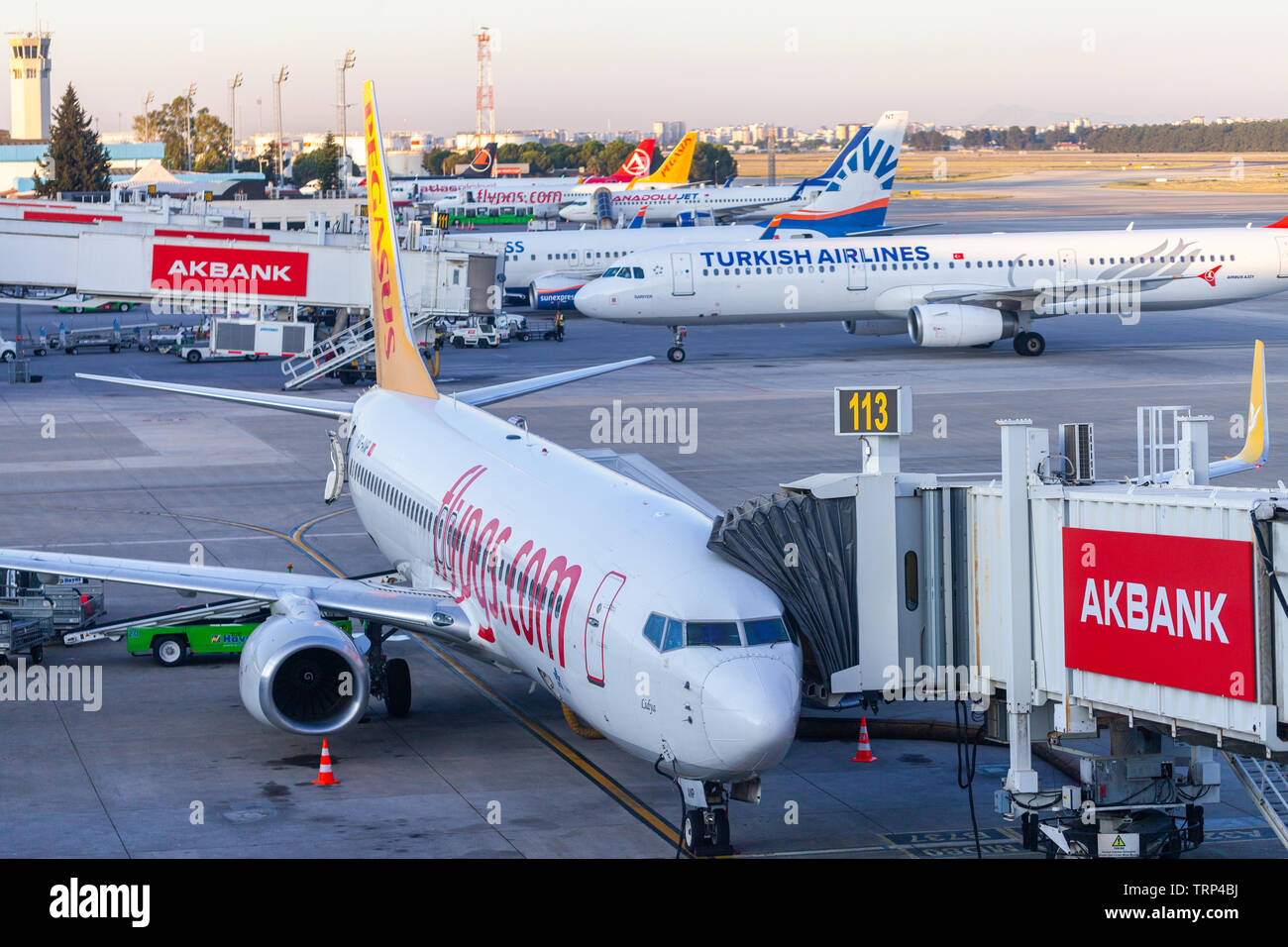 ANTALYA / TURCHIA - Giugno 6, 2019: Boing 737 dal Pegasus Airlines si erge sulla porta 113 all'aeroporto di Antalya, Turchia. Foto Stock