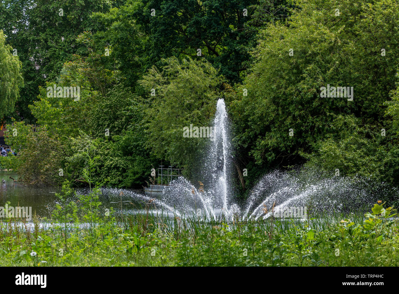 Intorno a Londra 2019 maggio Foto Stock