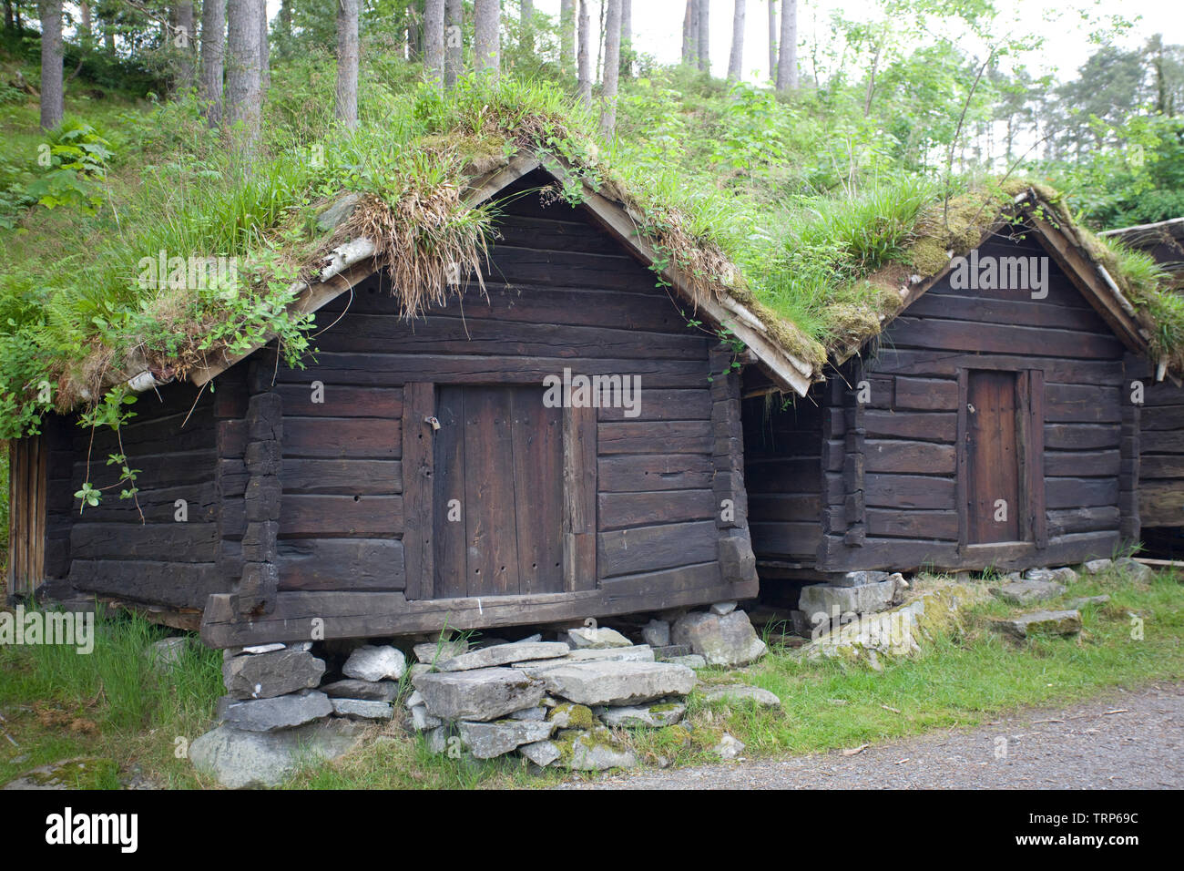 Viking case in Alesund, Norvegia Foto Stock