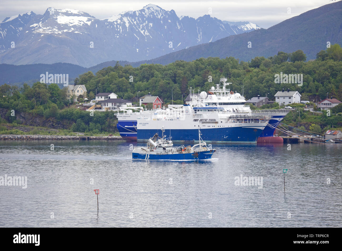 La pesca in barca a vela nel porto, Alesund, Norvegia Foto Stock